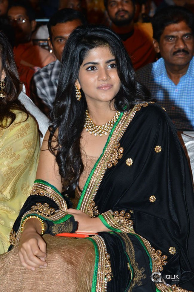 Chal-Mohan-Ranga-Pre-Release-Function-Photos